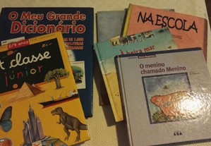 imagem_3
