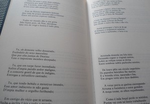 imagem_8