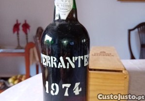 imagem_1