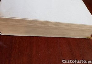 imagem_14