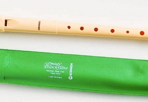 3 Flauta Bisel Flauta Hohner como novas vend troc