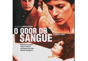 imagem_6