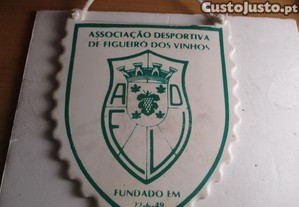 imagem_1