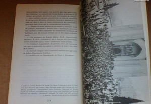 imagem_8