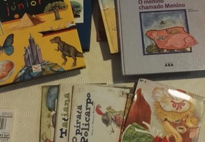 imagem_2