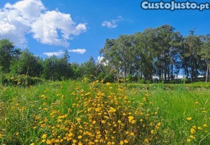 Terreno Agrícola em Bustelo