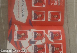 imagem_3