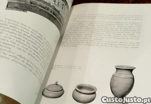 imagem_11