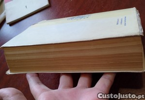 imagem_15