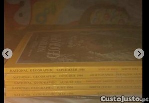 imagem_5