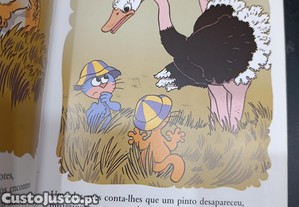 imagem_4