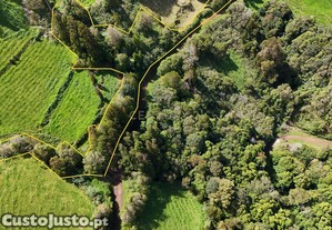 Terra de baldio com 5575m2   Oportunidade de Explorao Florestal em Vila do Nordeste