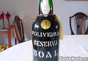 imagem_1