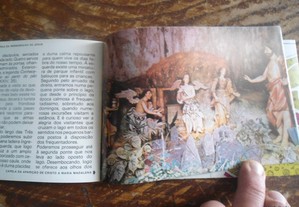 imagem_6