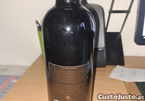 imagem_5