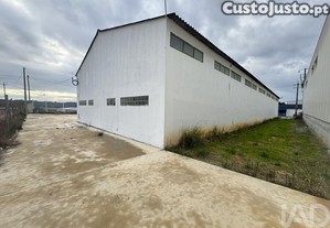 imagem_21