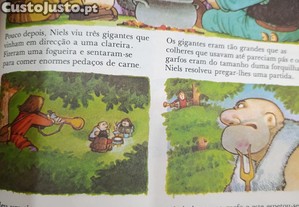 imagem_6