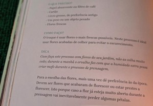 imagem_8