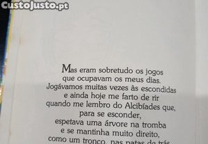 imagem_5