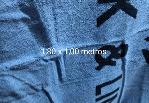 imagem_4