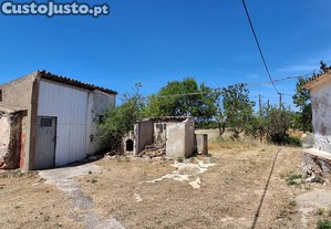 imagem_3