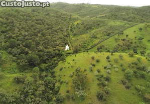 imagem_9