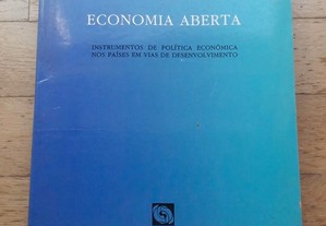 Economia Aberta, Instrumentos de Política Económica nos Países em Vias de Desenvolvimento