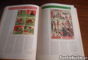 imagem_6