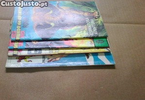 imagem_5