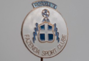 imagem_6
