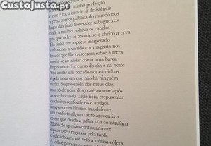 imagem_8