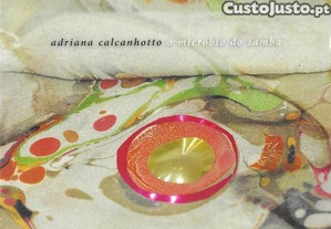 imagem_1