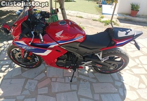 imagem_12