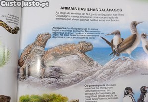 imagem_5