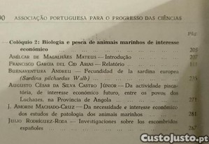 imagem_15