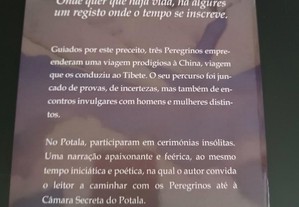 imagem_7