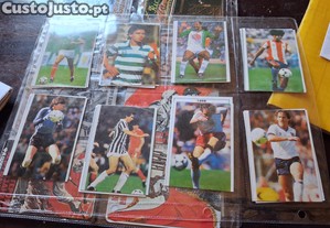 imagem_6