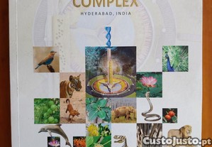imagem_1