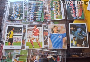 imagem_3
