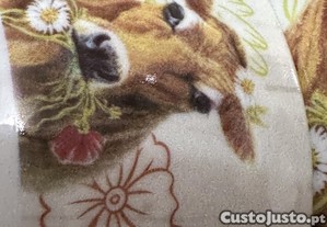 imagem_4