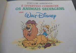 imagem_8