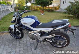 SUZUKI SFV 650 Gladius