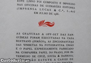 imagem_8