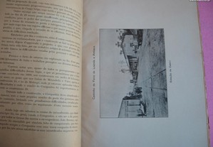 imagem_5