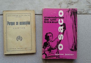 Obras de José Ribeiro Alves Júnior e Matos Júnior