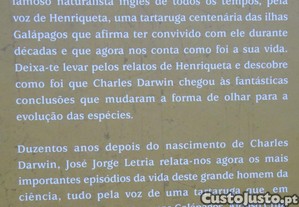 imagem_8