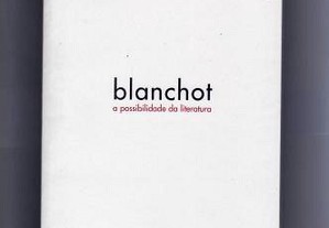 Blanchot A Possibilidade da Literatura