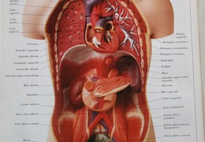 imagem_5