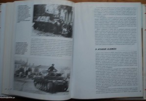 imagem_5