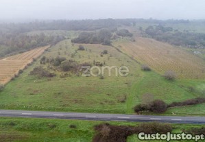 Terreno Agrícola Com 4 Hectares, Vila Nova De...